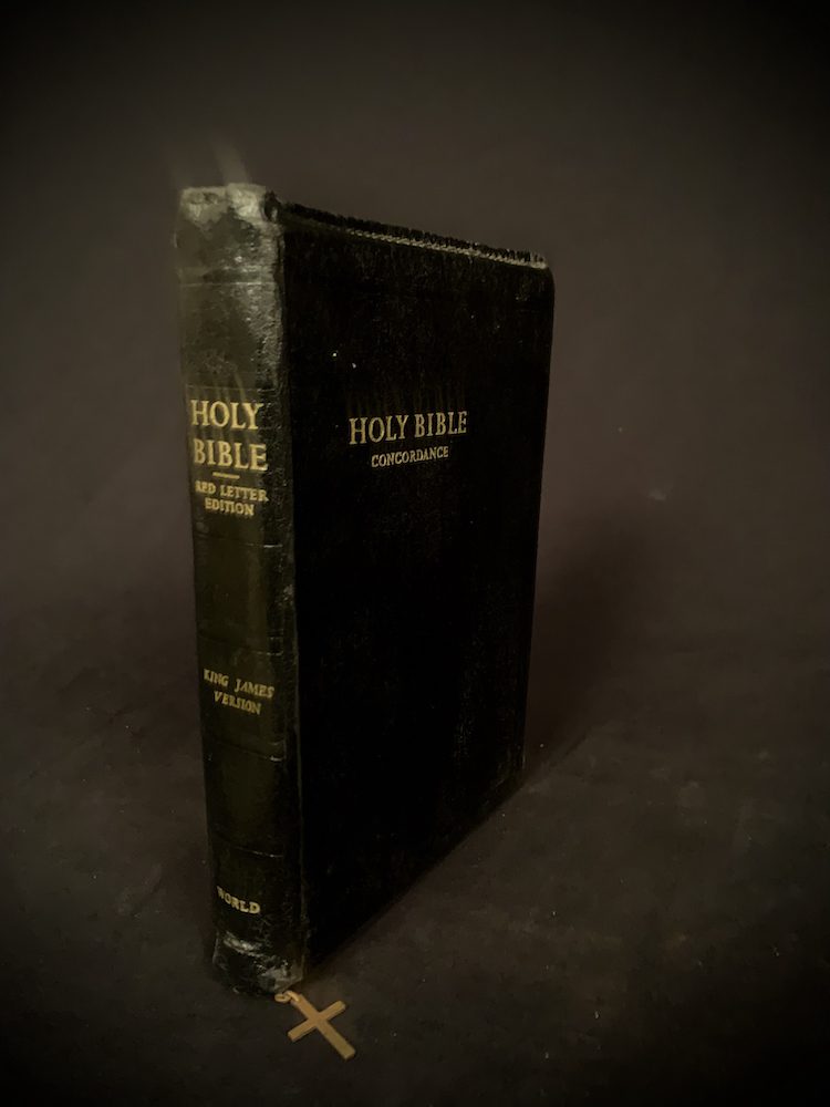 Holy Bible - leather zippered casing
