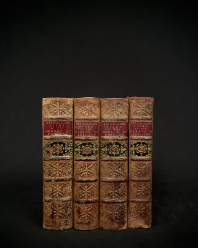 Strickland's Queens of England - tree calf binding