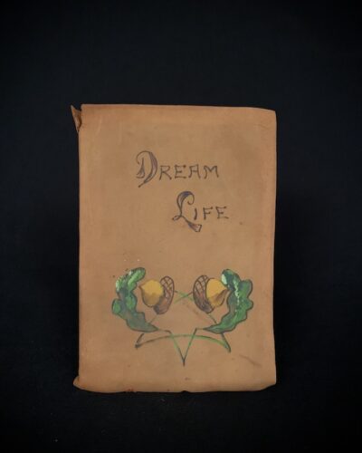 Dream Life - Fable of the Seasons