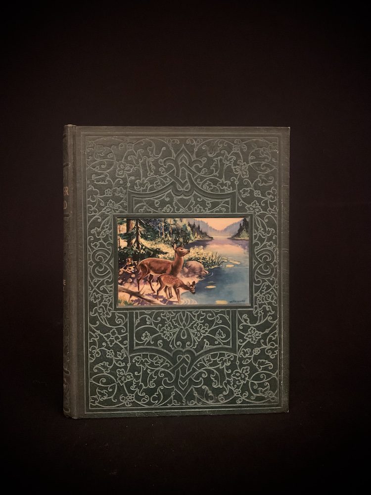 The Nature Book