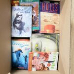Half sized children's book boxes, grades 3 to 5