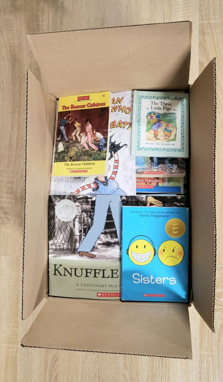 Half sized assorted children's books box
